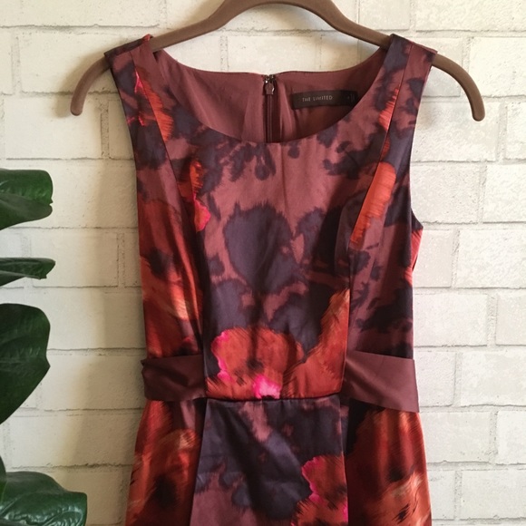 The Limited Floral Dress - Picture 3 of 6